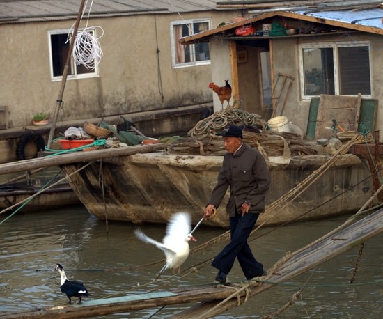 ˮ���˼�--��������Ӱ