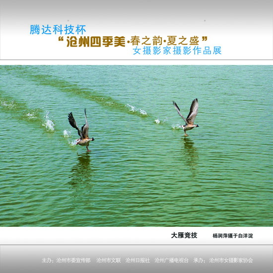 ϲӭ����ʮ�˴�չʾ���ݼ�������6��