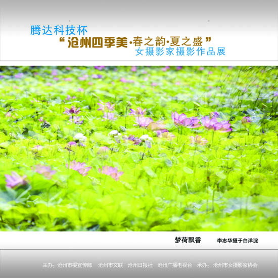 ϲӭ����ʮ�˴�չʾ���ݼ�������14��