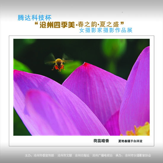 ϲӭ����ʮ�˴�չʾ���ݼ�������16��