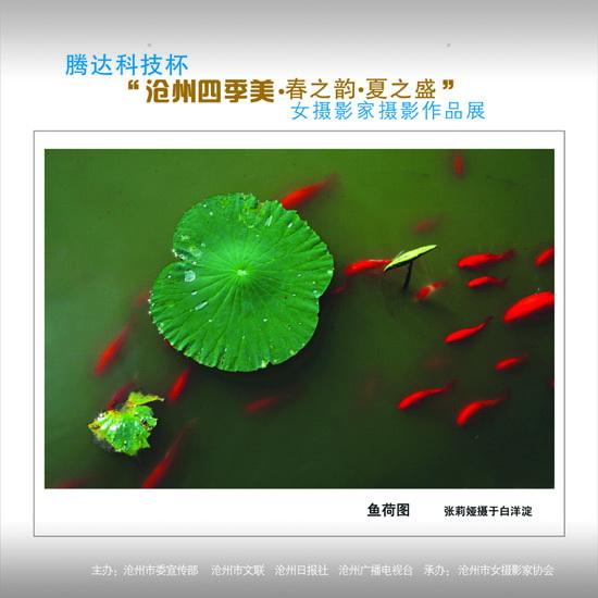 ϲӭ����ʮ�˴�չʾ���ݼ�������15��