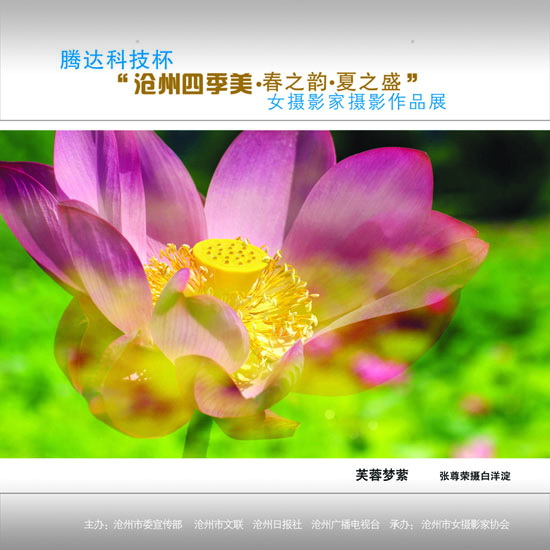 ϲӭ����ʮ�˴�չʾ���ݼ�������13��