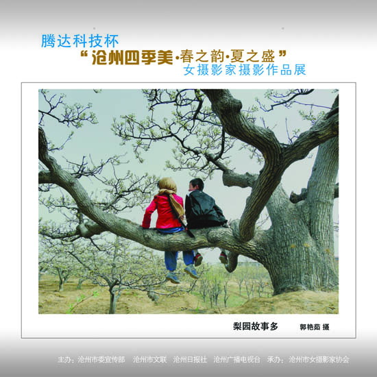 ϲӭ����ʮ�˴�չʾ���ݼ�������20��