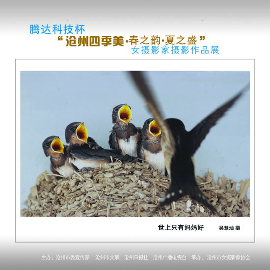 ϲӭ����ʮ�˴�չʾ���ݼ�������22��