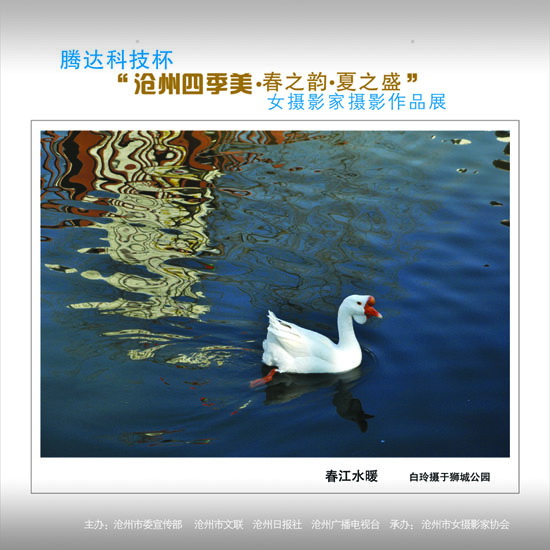 ϲӭ����ʮ�˴�չʾ���ݼ�������27��