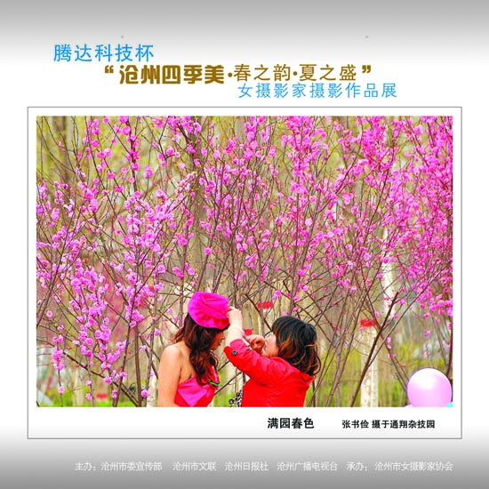 ϲӭ����ʮ�˴�չʾ���ݼ�������24��