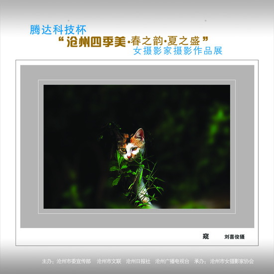 ϲӭ����ʮ�˴�չʾ���ݼ�������28��