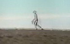 ̨��һ�����ĵ�����������