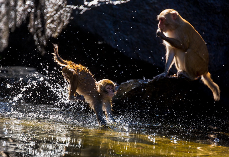 Ϸˮ    �������Ӱ