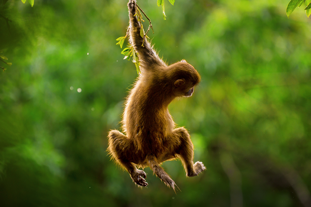 ���ҵ�  �������Ӱ