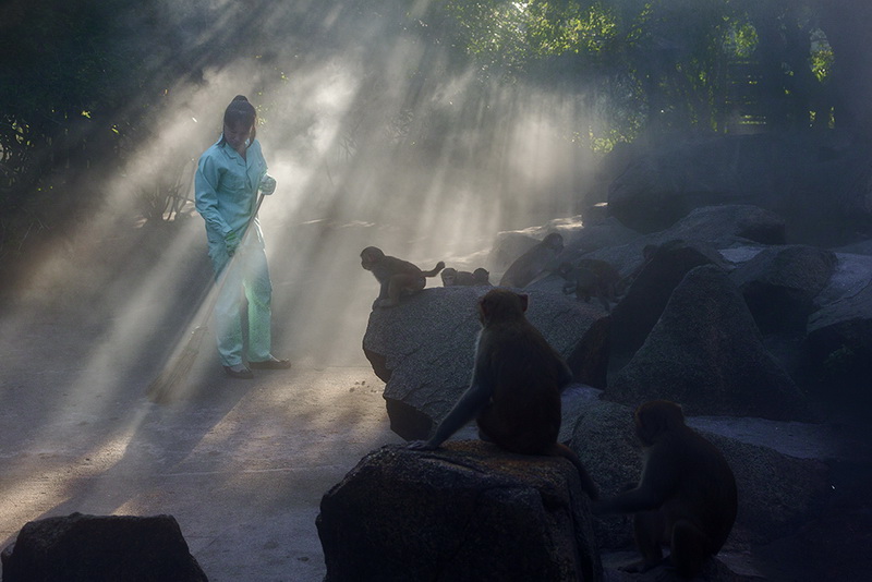 ��г    �������Ӱ