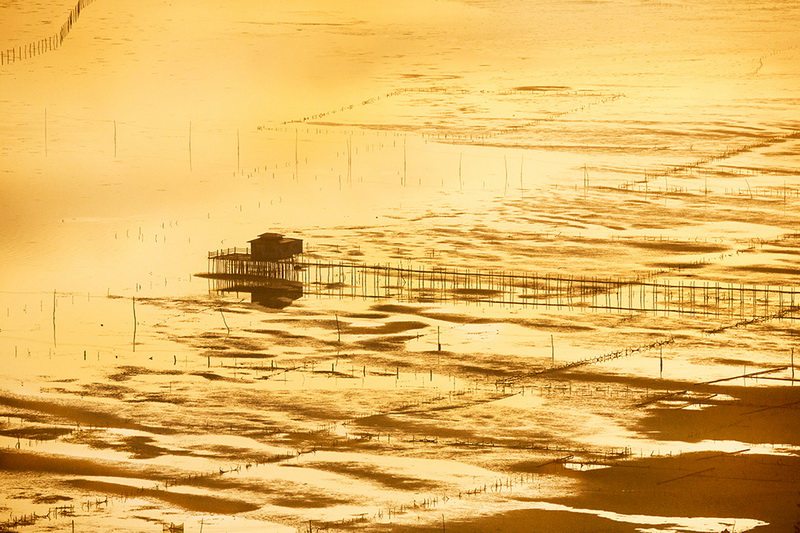 ���ϸ���           �������Ӱ