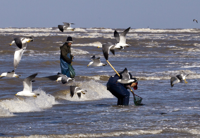 �׺�ʰ��--����    ��������Ӱ