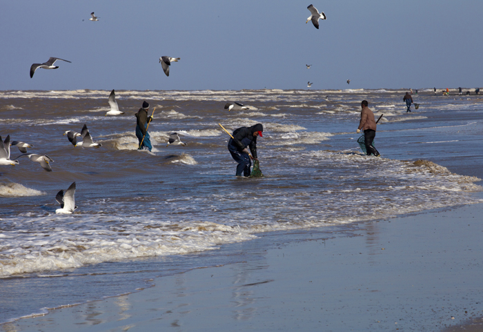 �׺�ʰ��--����    ��������Ӱ