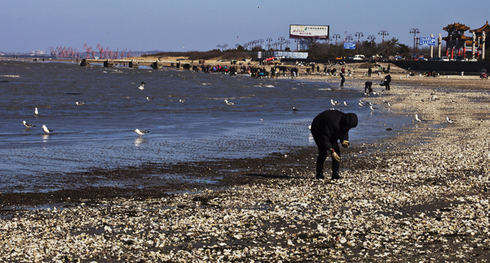 �׺�ʰ��           ��������Ӱ