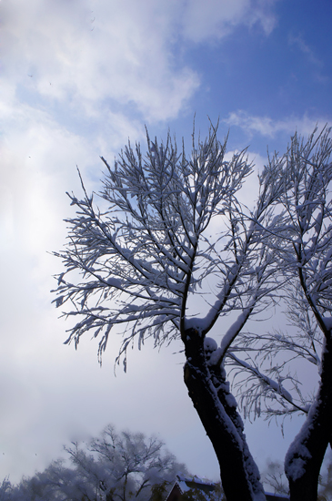 ��С����Ӱ��Ʒ��16��