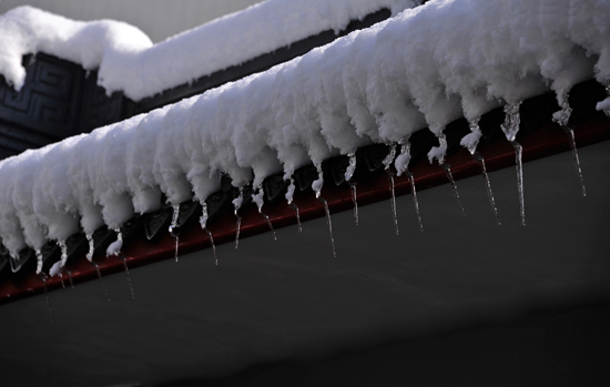 ��С����Ӱ��Ʒ��12��