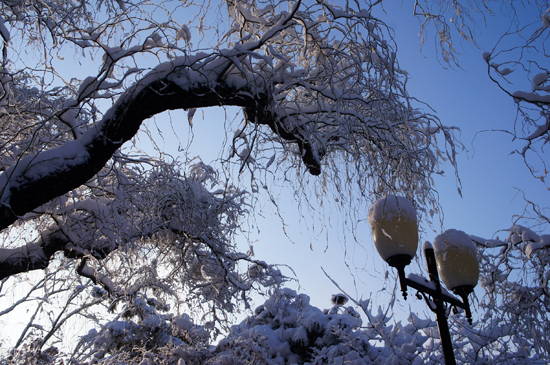 ��С����Ӱ��Ʒ��10��