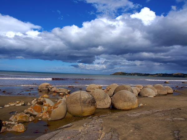 ��С����Ӱ��Ʒ��14��