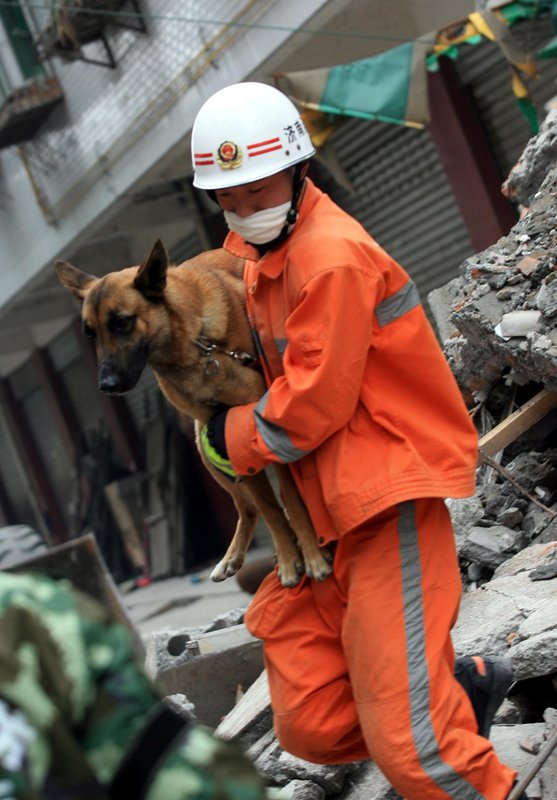 2008�~5��15��A�������a�ϱϴ��{���A�`�ȷj�Ϥ����ˡA�@�춤����ۤ��U�M�I���өмo�V�C�P�C��/CFP