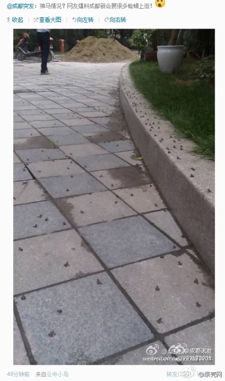 �����������]�����I�ϡ^