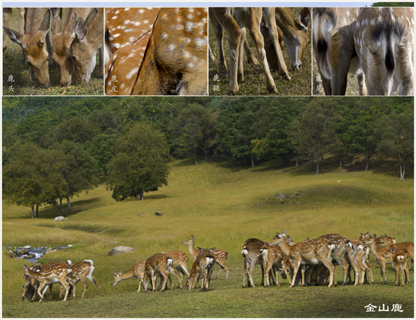 6.��ɽ¹_��Ӱ��ǿ1