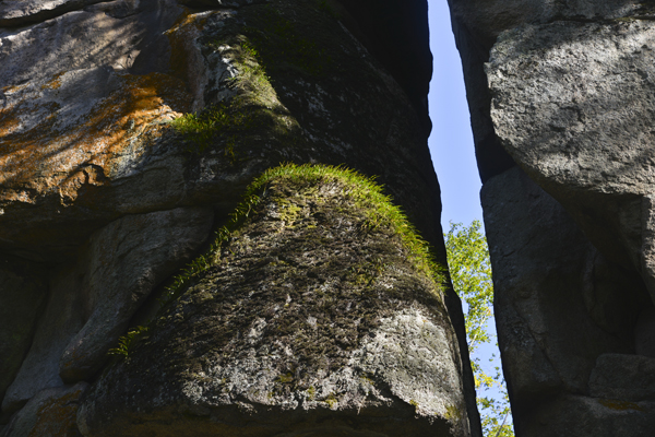 17.������ʯ����Ӱ��ǿ