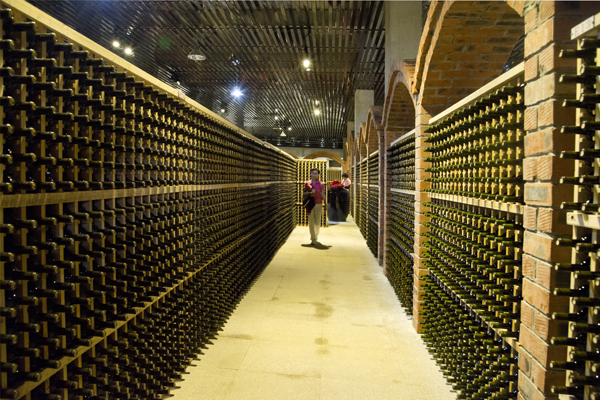 16.�Ʊ�     ��Ӱ��ǿ