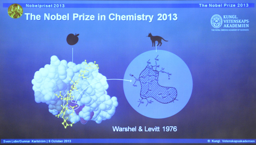 高清:三名美国科学家获得2013年诺贝尔化学奖