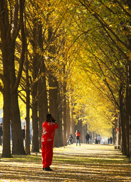 2.����      �����Ӱ