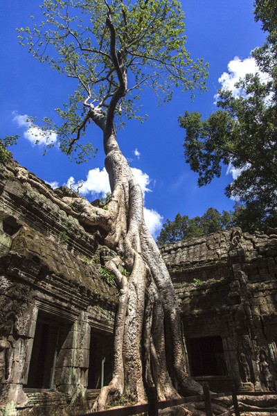 11.����������            �����Ӱ 