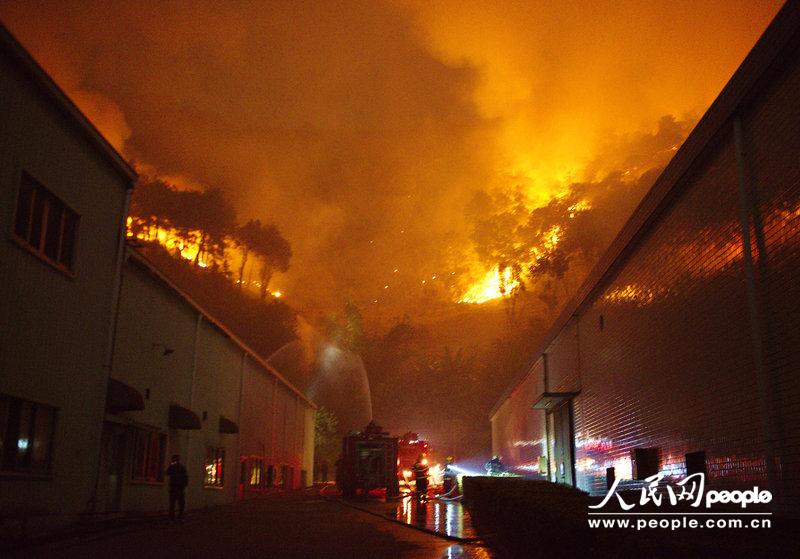 广西梧州突发森林火灾 山火威胁化附近厂房民