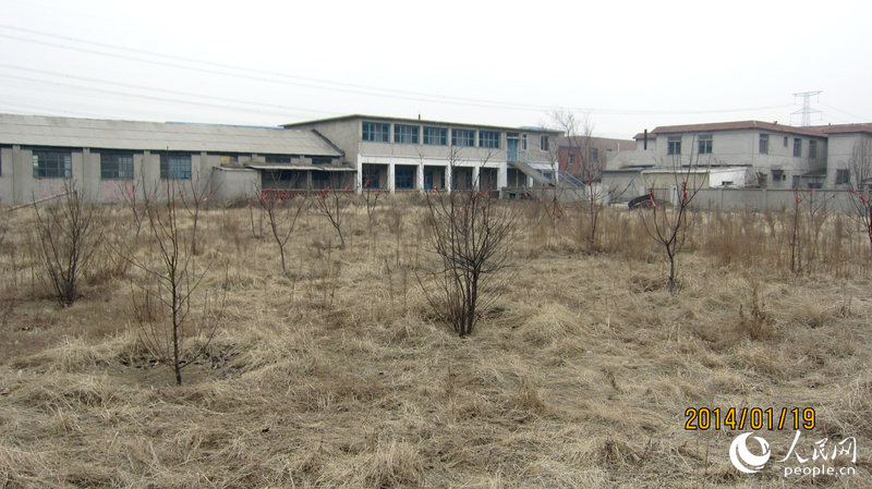 中国第一家民营足球学校荒废成农田果园