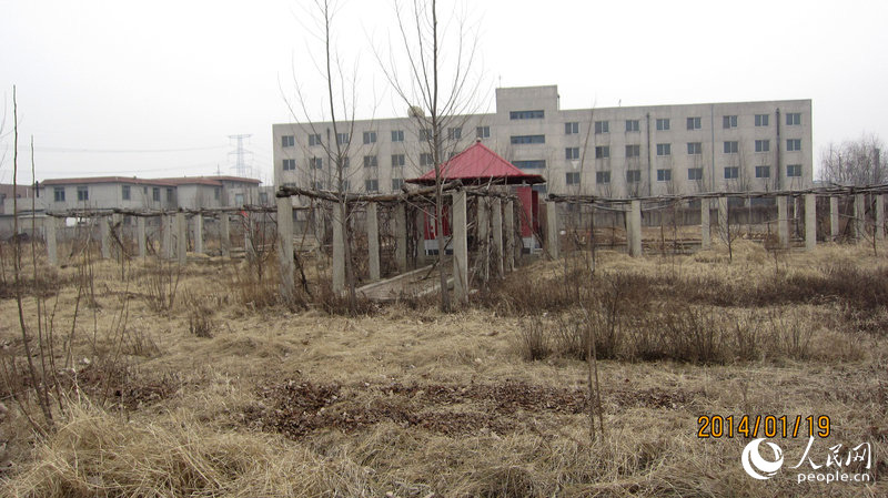 中国第一家民营足球学校荒废成农田果园