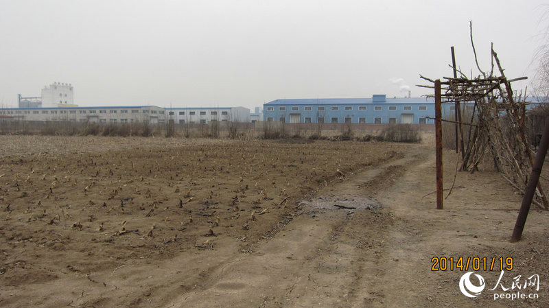 中国第一家民营足球学校荒废成农田果园