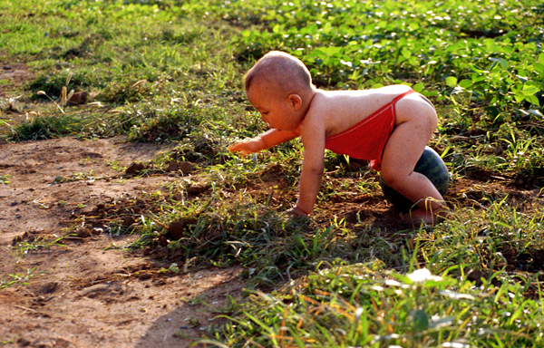 7.ץ��֥�顰����������