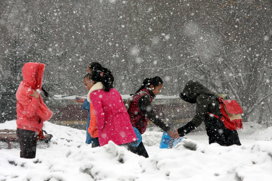 新疆北部迎来大雪天气
