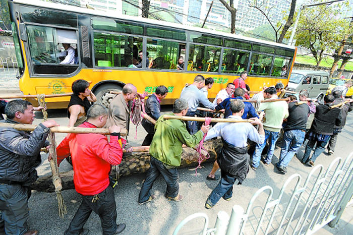 重庆:20名男子抬6000斤重乌木过街