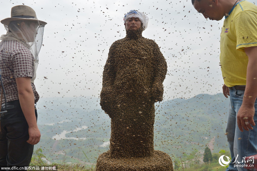 34岁的佘平将28箱蜜蜂运上山打造蜂衣。东方IC 