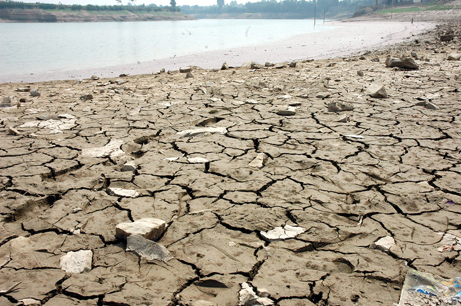 陕西伏旱持续 近90万亩农作物面临绝收