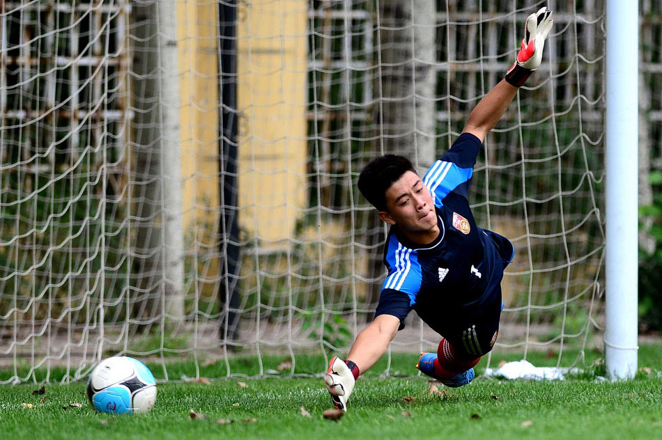 足球杯排名_足球壁纸高清手机壁纸