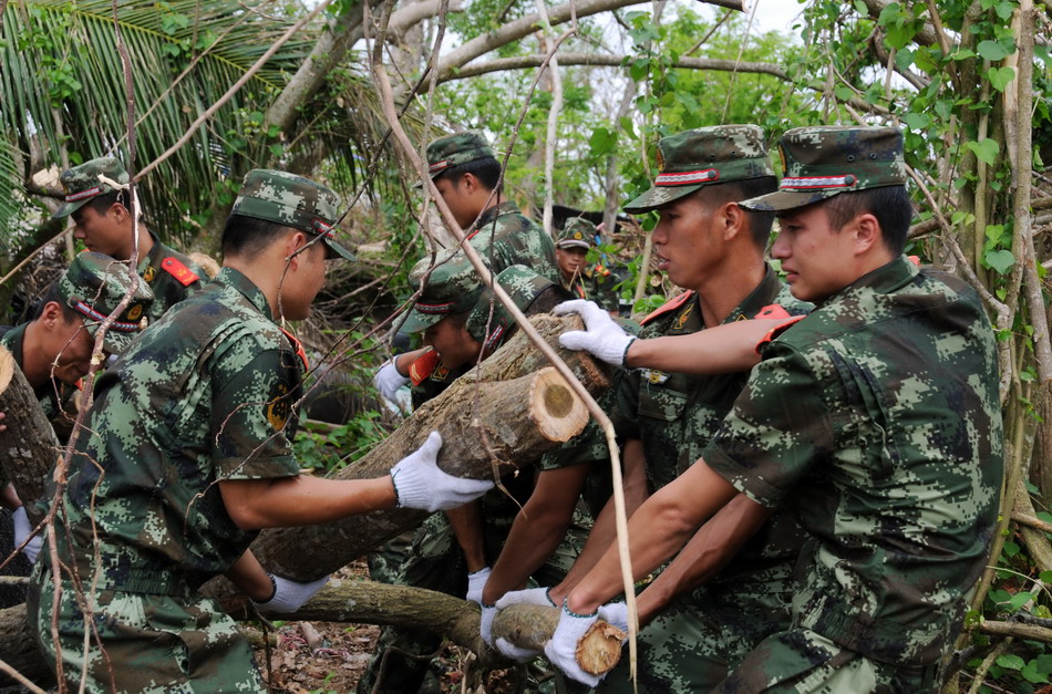 8月13日，海南省文昌公安边防支队干警在内六村密林深处搬运折断的树木。