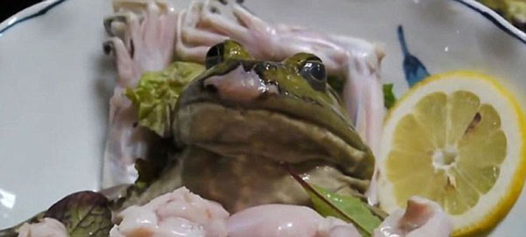 日本寿司店推出活剥牛蛙刺身引众怒 被批虐待