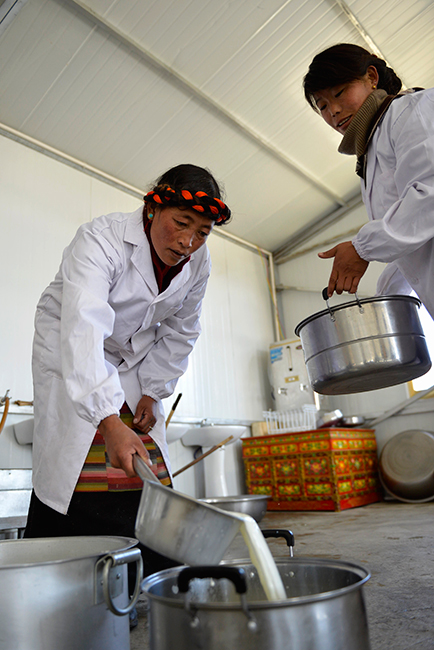 日喀则市桑珠孜区拉洛奶牛有限公司养殖区域(养殖场)的职工在鲜牛奶