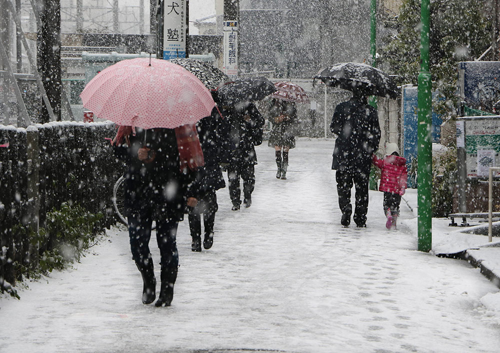 日本东京迎来大雪天气