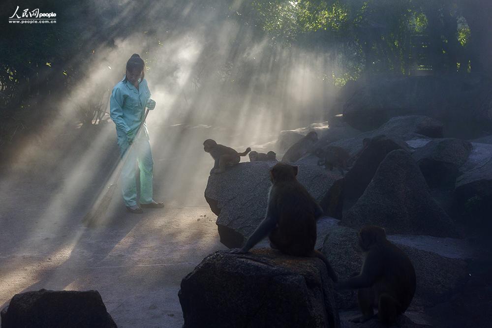 ��г    �������Ӱ