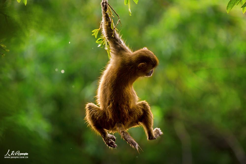 ���ҵ�  �������Ӱ