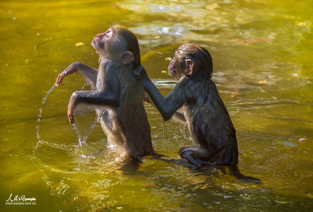 ��ԡ    �������Ӱ