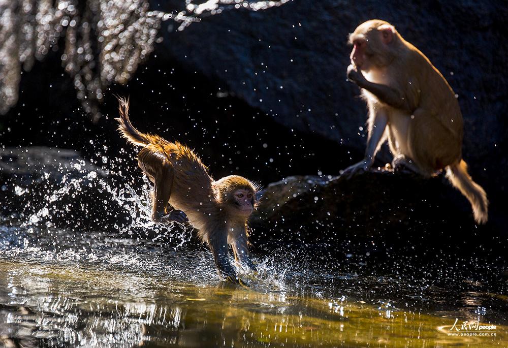 Ϸˮ    �������Ӱ