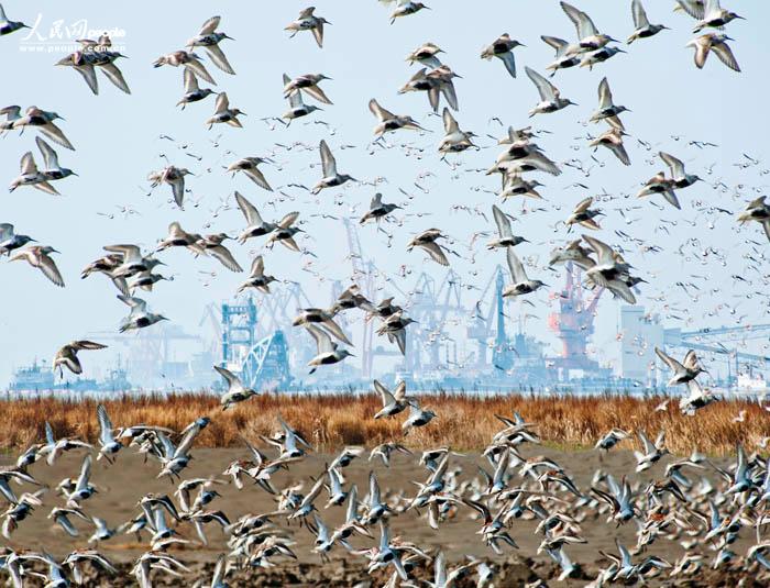 ��̬��԰  ������Ӱ